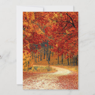 Carte forestière d'automne
