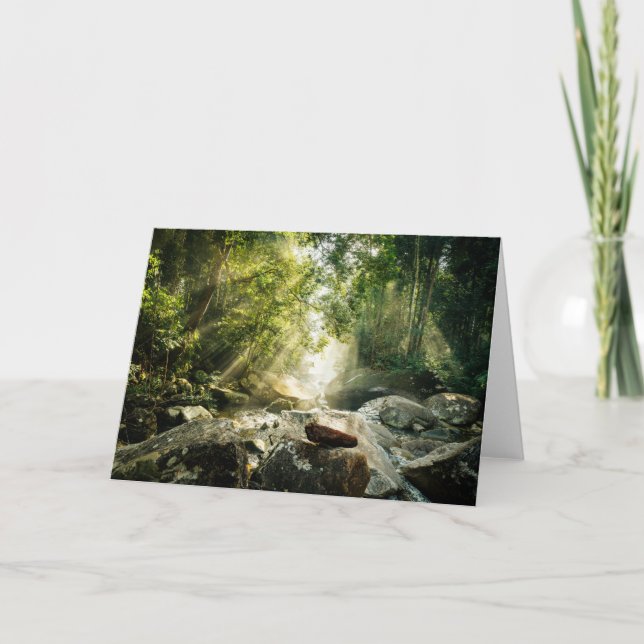 Carte Forests | Tropical Jungle Forest (Devant)