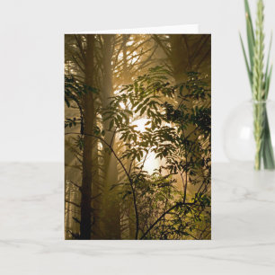 Carte Forêt à feuillage persistant   Côte de l'Oregon