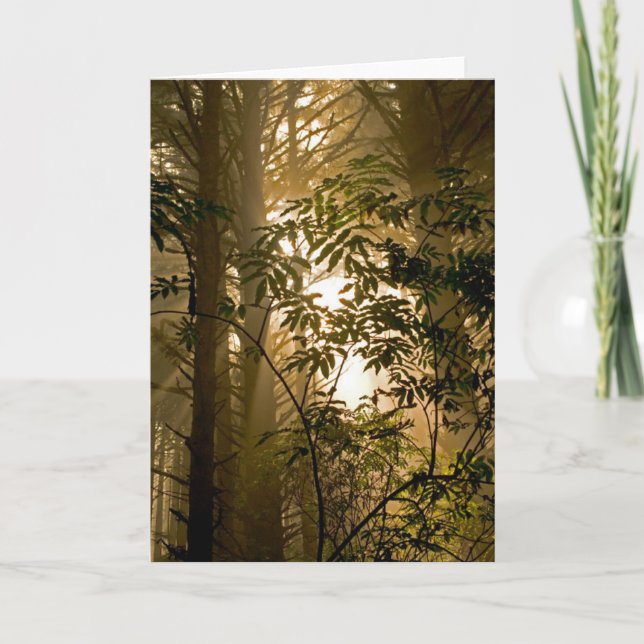 Carte Forêt à feuillage persistant | Côte de l'Oregon (Devant)