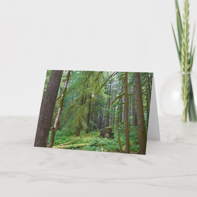 Carte Forêt ancienne (Devant)