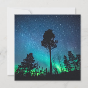 Carte Forêt Aurora