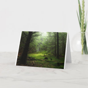 Carte Forêt Auvergne France