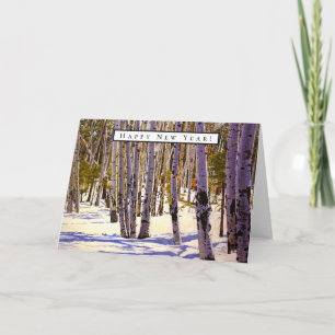 Carte Forêt d'arbres d'Aspen à Flagstaff, AZ