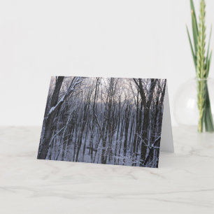 Carte Forêt d'arbres enneigés