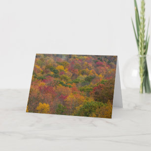 Carte Forêt de feuillus dans le comté de Randolph, Virgi