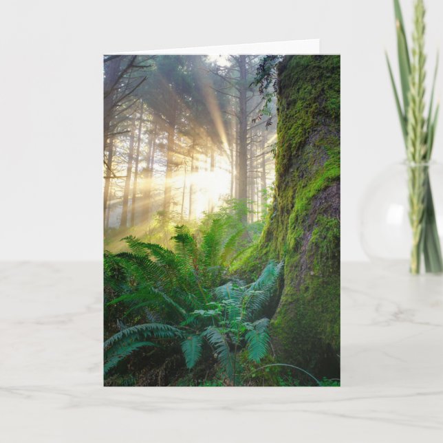 Carte Forêt de la côte pacifique, Oregon (Devant)