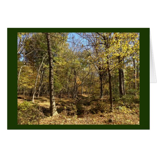Carte : Forêt de Shenandoah avec Stephen