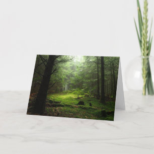 Carte Forêt de Sterious