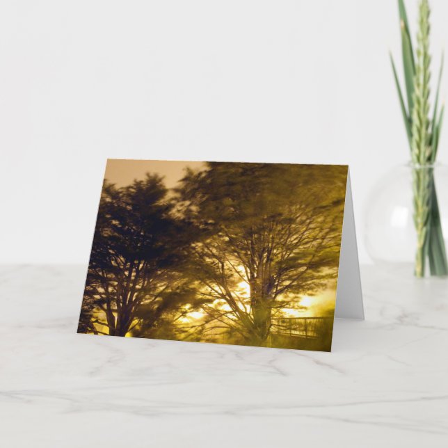 Carte forêt des fureurs (Devant)