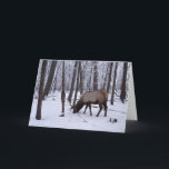 Carte Forêt gelée<br><div class="desc">Elk buck en hiver Bus Woods,  Elk Grove Village,  Illinois</div>