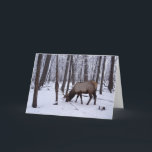 Carte Forêt gelée<br><div class="desc">Elk buck en hiver Bus Woods,  Elk Grove Village,  Illinois</div>