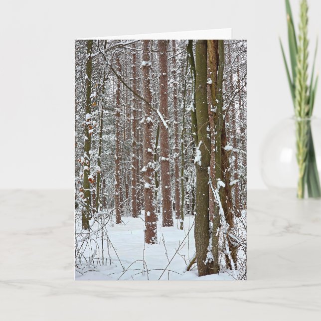 Carte Forêt hivernale tranquille de sympathie (Devant)