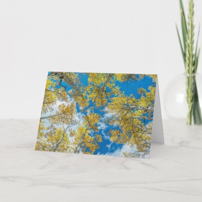 Carte Forêt nationale de Gunnison Colorado (Devant)