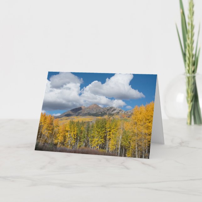 Carte Forêt nationale de Gunnison, Colorado (Devant)