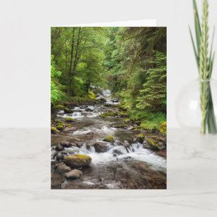 Carte Forêt nationale de Siuslaw Sweet Creek