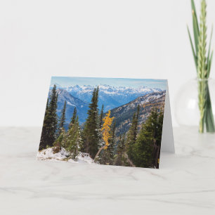 Carte Forêt nationale de Wenatchee