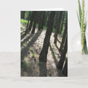 Carte Forêt ombragée d'arbre