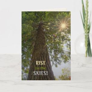 Carte Forêt paisible avec photo de la nature à la lumièr