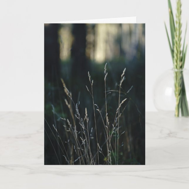 Carte Forêt Silencieuse, Sympathie (Devant)
