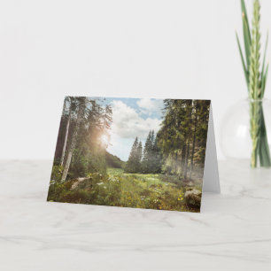 Carte Forêt   Sun Peeking Thru