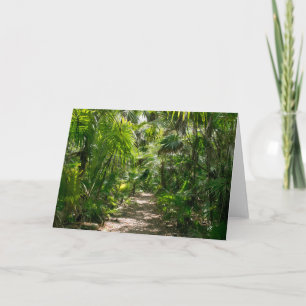 Carte Forêt Tropical Rainforest Tulum Mexique