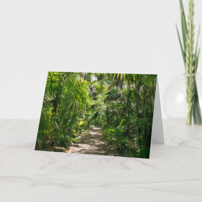 Carte Forêt | Tropical Rainforest Tulum Mexique (Devant)