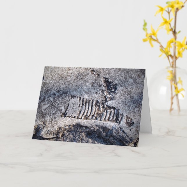 Carte Fossil Nautiloïde Cephalopod Ancien Mollusk (Fleur jaune)