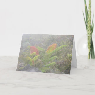 Carte Fougères dans la brume - Haleakala, Maui