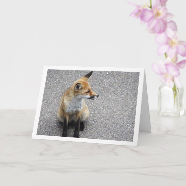 Carte Fox Cub sur Street Portrait (Orchidée)