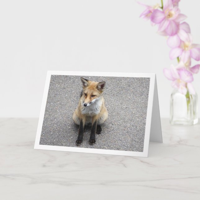 Carte Fox Cub sur Street Portrait (Orchidée)