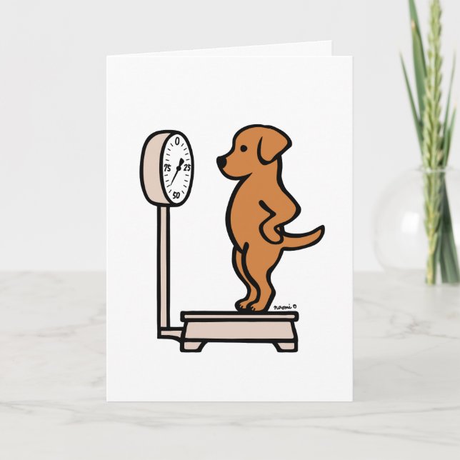 Carte Fox Red Labrador sur l'échelle (Devant)