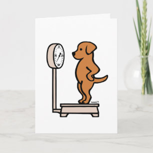 Carte Fox Red Labrador sur l'échelle