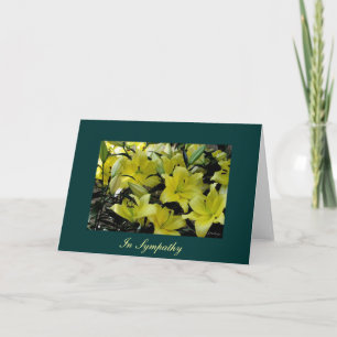 Carte Frame-It