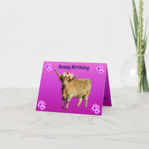 Carte Frangipani La vache Highland,