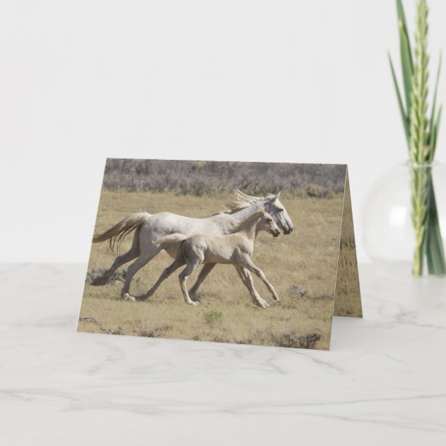 Carte Freedom Runs Wild Horse Grey Card (Devant)