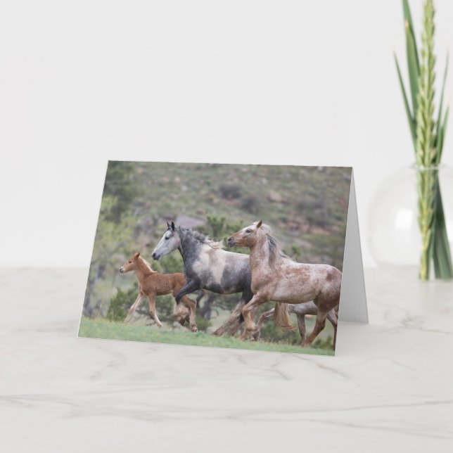 Carte Freedom's Run II : La Galerie de la liberté (Devant)