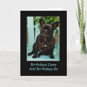 Carte French Bulldog Birthday Card Drôle