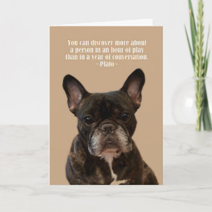 Carte French Bulldog Plato Joyeux anniversaire