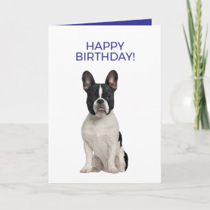Carte French Bulldog Simple Minimal Joyeux anniversaire