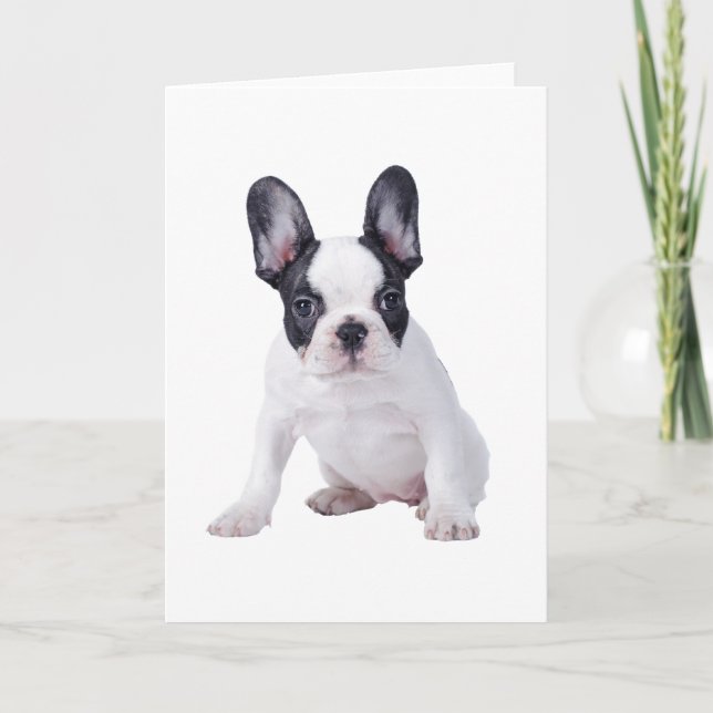 Carte Frenchie - chiot de bouledogue français (Devant)