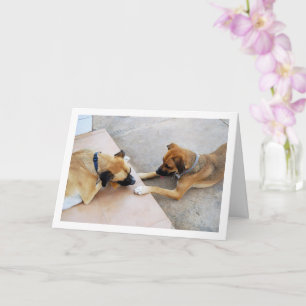 Carte Frère et sœur mignons, portrait de chien