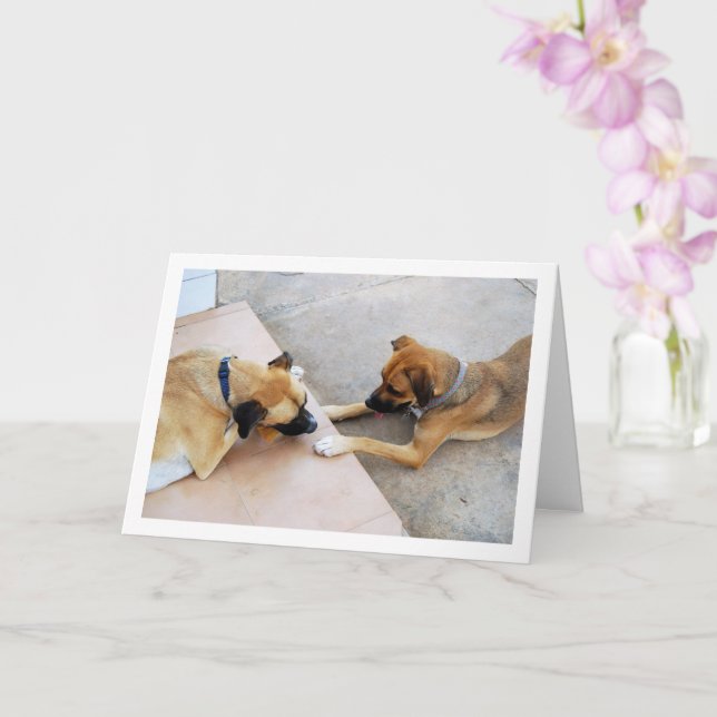Carte Frère et sœur mignons, portrait de chien (Orchidée)