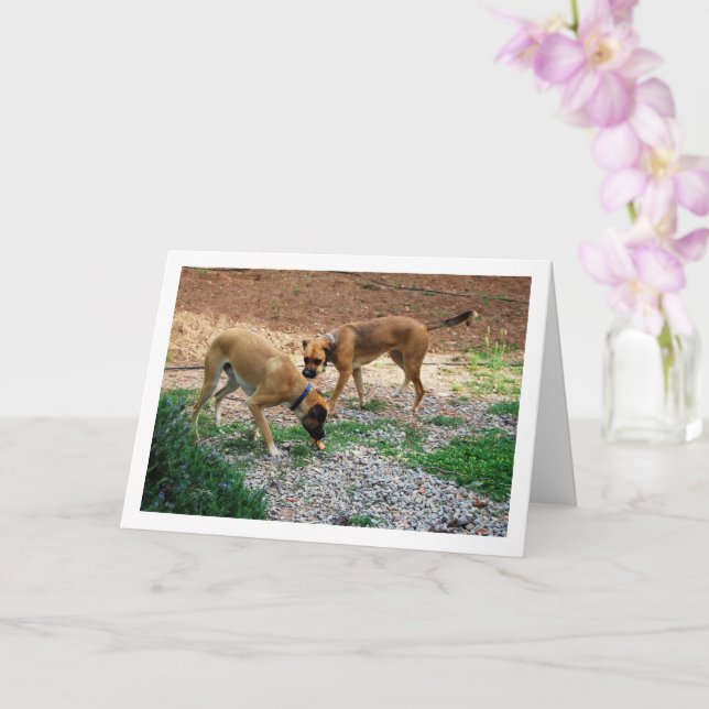 Carte Frère et Sœur, Portrait de Chien (Orchidée)
