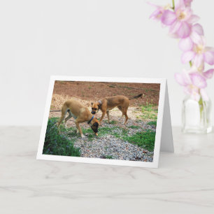 Carte Frère et Sœur, Portrait de Chien