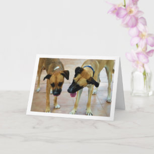 Carte Frère et Sœur, Portrait de Chien