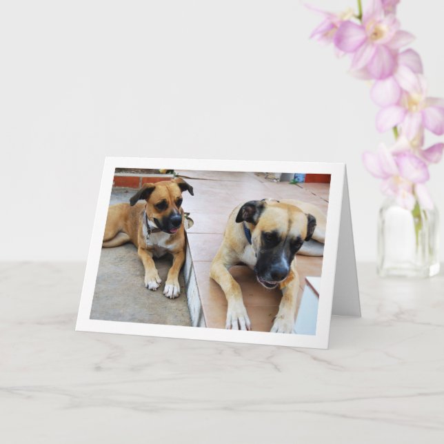 Carte Frère et Sœur, Portrait de Chien (Orchidée)