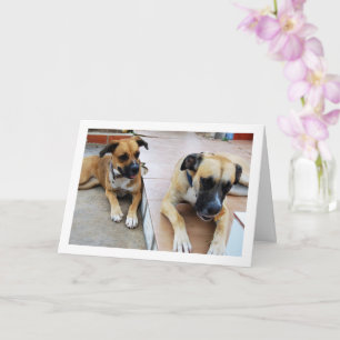 Carte Frère et Sœur, Portrait de Chien