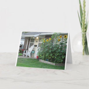 Carte Friends, Family & Front Porches