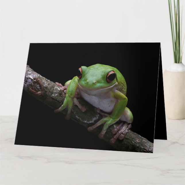 Carte Frog Texte Personnalisée (Devant)